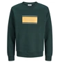 SWEATSHIRT JACK&JONES JR.