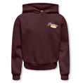 SWEATSHIRT KIDS ONLY