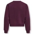 SWEATSHIRT KIDS ONLY