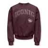 SWEATSHIRT ONLY KIDS