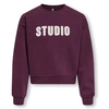 SWEATSHIRT ONLY KIDS