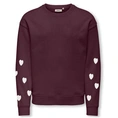SWEATSHIRT ONLY KIDS