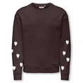 SWEATSHIRT ONLY KIDS