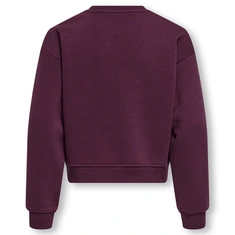 SWEATSHIRT ONLY KIDS