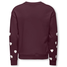 SWEATSHIRT ONLY KIDS