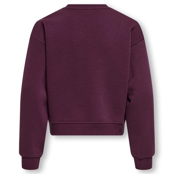 SWEATSHIRT ONLY KIDS