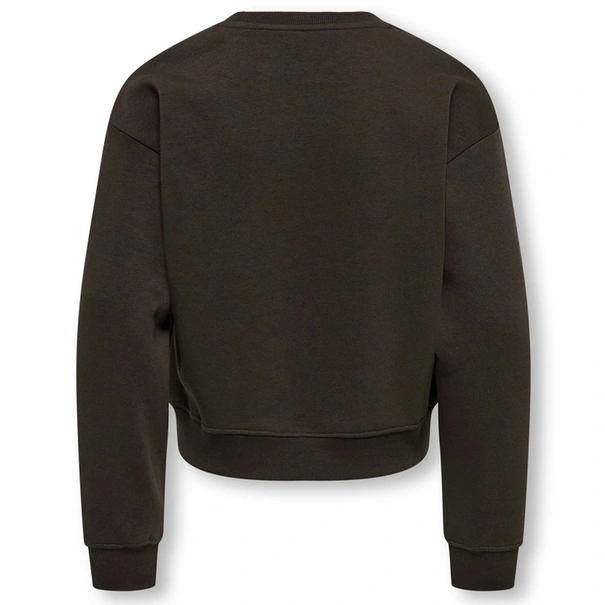 SWEATSHIRT ONLY KIDS