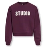 SWEATSHIRT ONLY KIDS