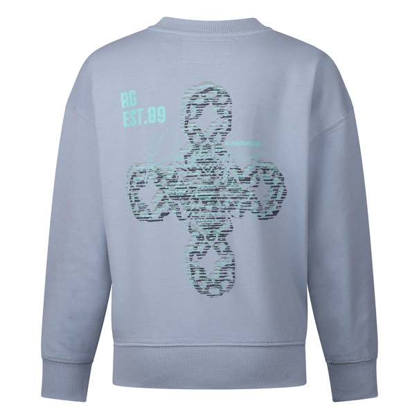 SWEATSHIRT RAVAGIO