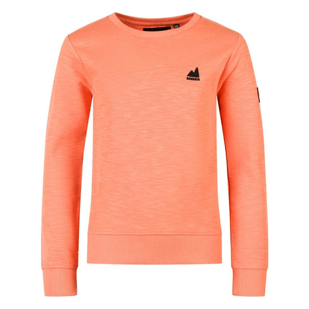 SWEATSHIRT RAVAGIO