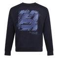 SWEATSHIRT STONECAST