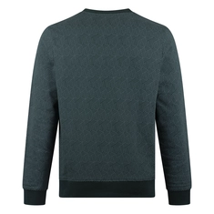 SWEATSHIRT STONECAST