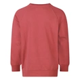 SWEATSHIRT UNLOCKED