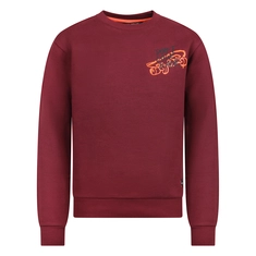 SWEATSHIRT UNLOCKED