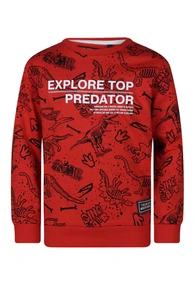 SWEATSHIRT UNLOCKED