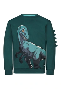 SWEATSHIRT UNLOCKED