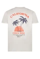 T-SHIRT CARS