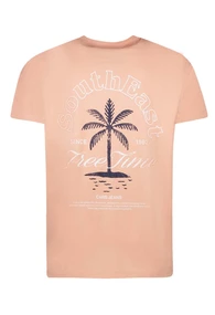 T-SHIRT CARS