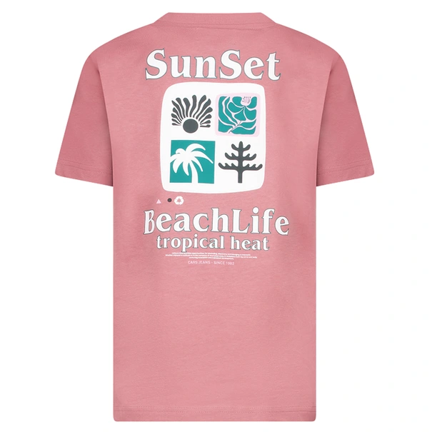 T-SHIRT CARS