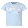 T-SHIRT D-ZINE