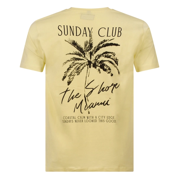 T-SHIRT STONECAST
