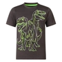 T-SHIRT UNLOCKED