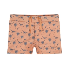 ZWEMBOXERSHORT DIRKJE