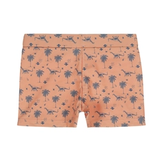 ZWEMBOXERSHORT DIRKJE