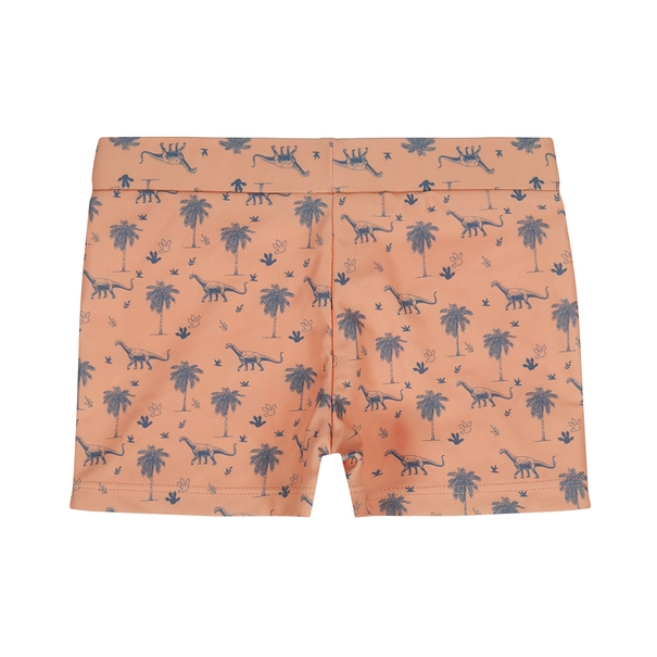 ZWEMBOXERSHORT DIRKJE